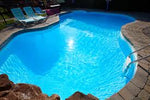 Pool Maintenance Plan - Spring Special